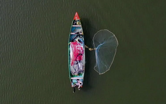 Aerial coastline